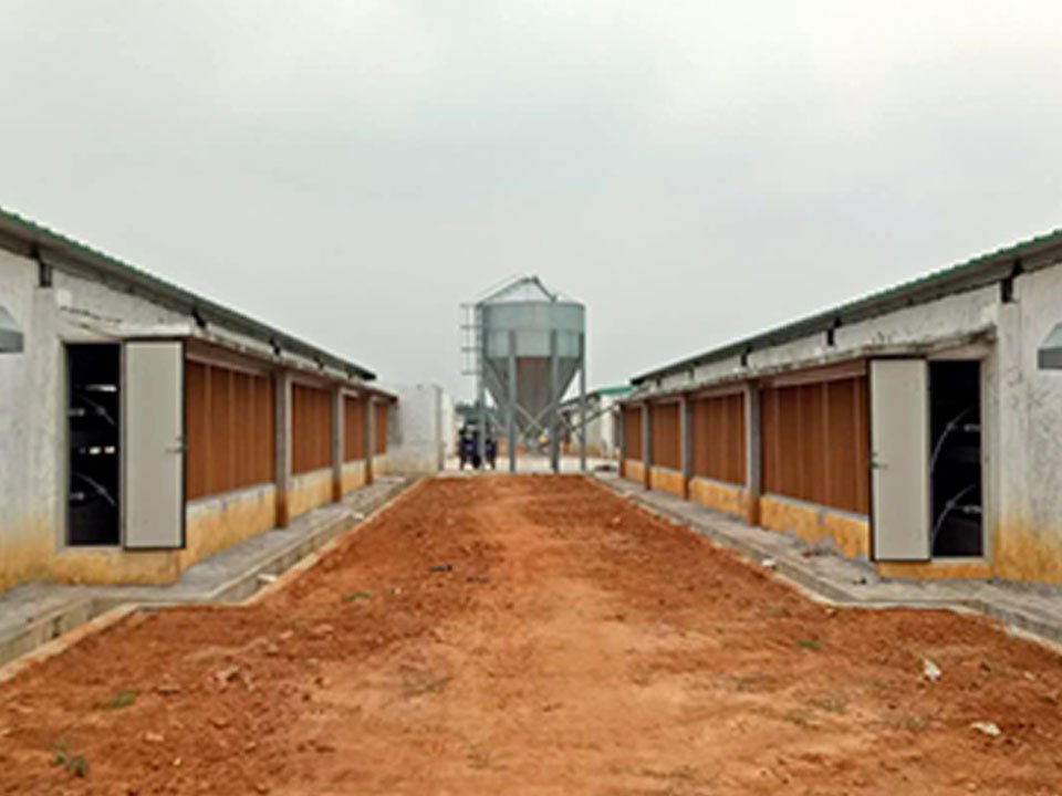 Main feeding line silo and hopper