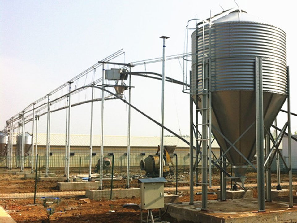 Main feeding line silo and hopper