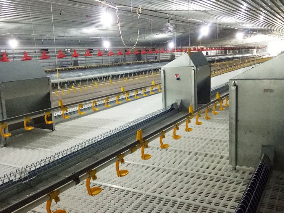 Main feeding line silo and hopper