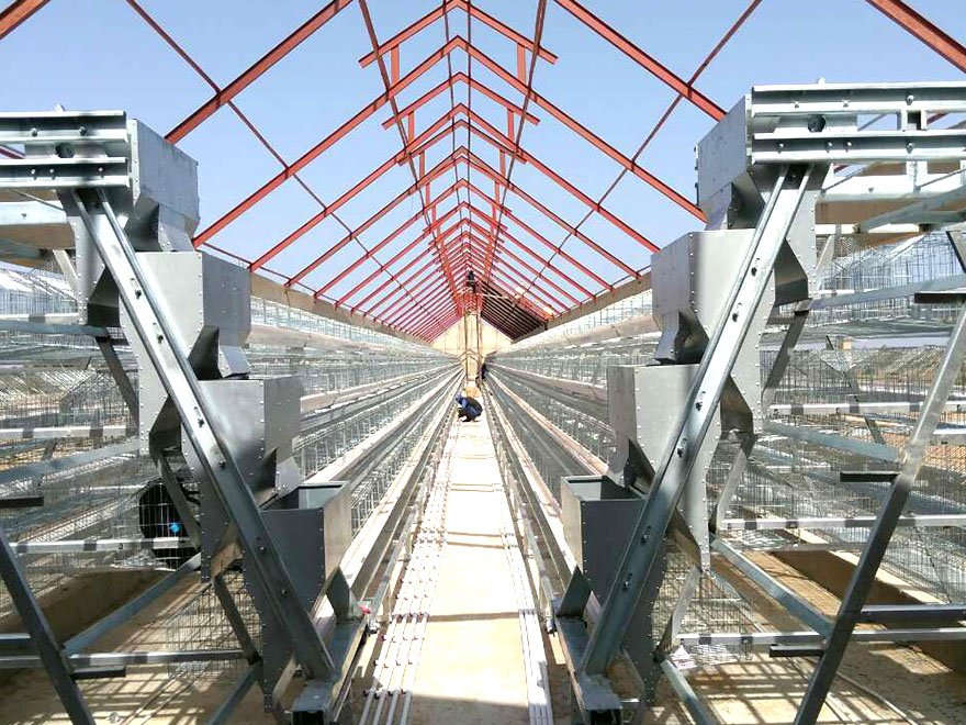 Main feeding line silo and hopper