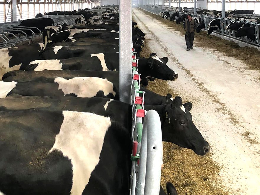 Main feeding line silo and hopper